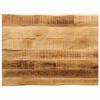 vidaXL Tafelblad met natuurlijke rand 90x60x3,8 cm massief mangohout
