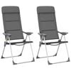 vidaXL Campingstoelen 58x69x111 cm aluminium grijs 2 st