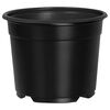 vidaXL Ronde Bloempot 50 st Zwart &Oslash; 10 x 8 cm Kunststof
