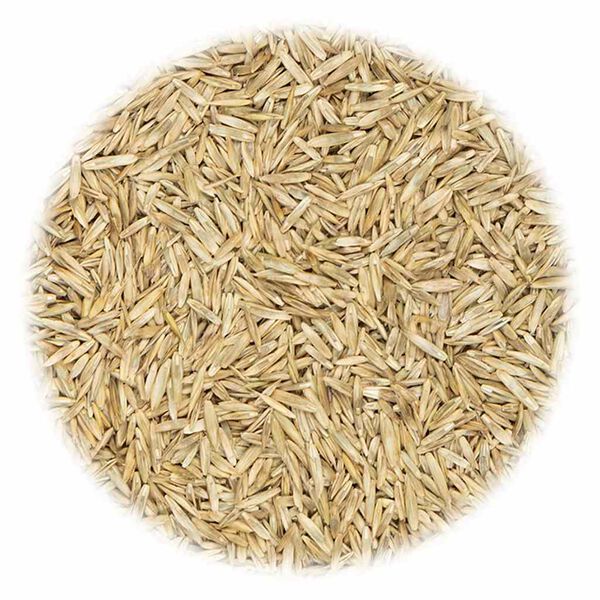 vidaXL Graszaad voor sport en spel 15 kg