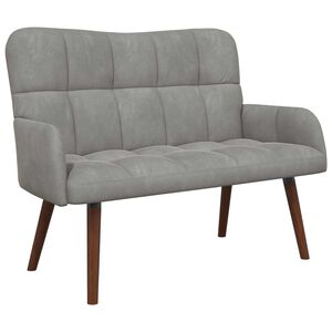vidaXL 2-Zits Sofa Lichtgrijs 115 x 61 x 87 cm fluweel