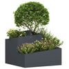 Miniatuurafbeelding van het product 3 van 9