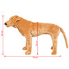 Miniatuurafbeelding van het product 5 van 5