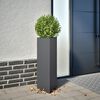 Miniatuurafbeelding van het product 2 van 12
