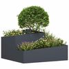 Miniatuurafbeelding van het product 3 van 12