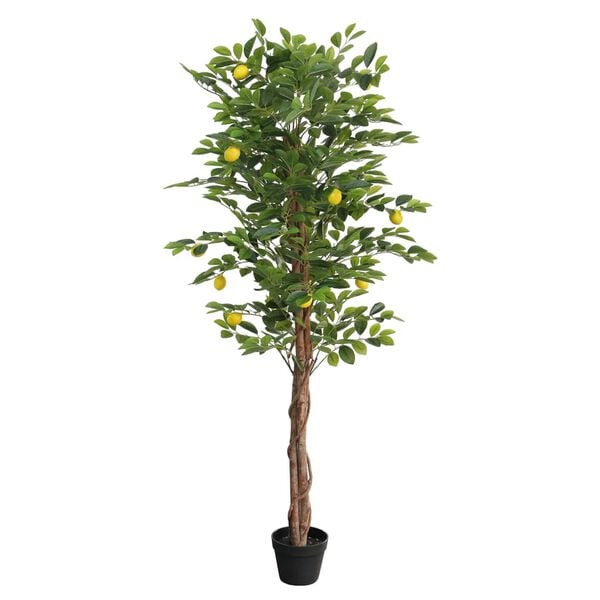 Productafbeelding 1 van 5