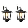 vidaXL Wandlamp with LED Bulb 2 st Zwart 19 x 14 x 25 cm RVS en ABS