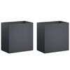 vidaXL Plantenbak 2 st Antraciet 50 x 30 x 40 cm Koudgewalst staal