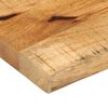 vidaXL Tafelblad met natuurlijke rand 160x20x2,5 cm massief mangohout