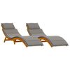 vidaXL Ligbed 2 st Massief Acaciahout Grijs