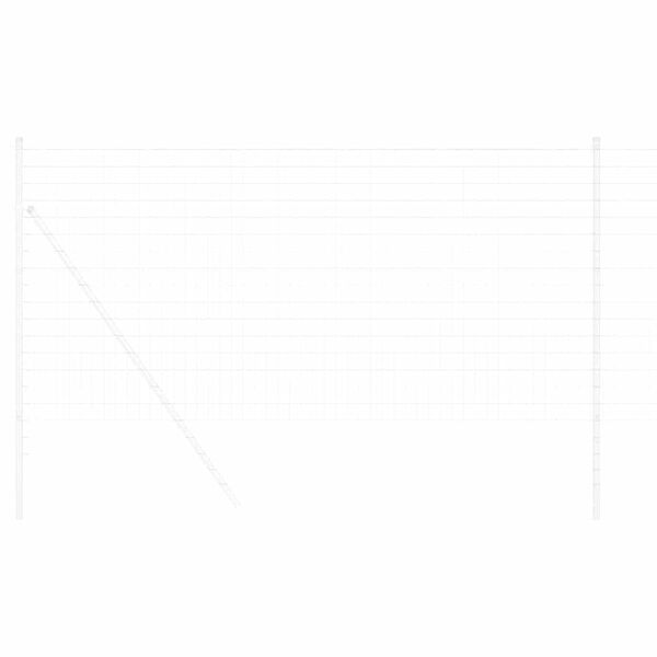 vidaXL Euro Hek 1 x 10 m PVC-gecoat ijzer