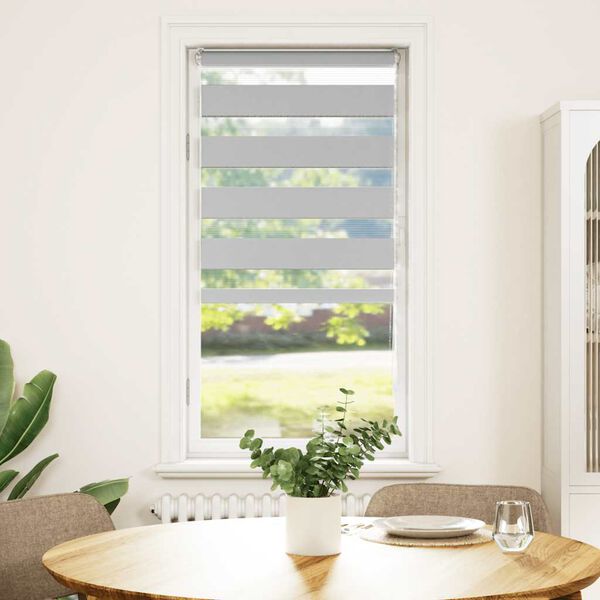 vidaXL Zebra rolgordijn 65x100 cm stofbreedte 60,9 cm lichtgrijs