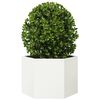 Miniatuurafbeelding van het product 3 van 10