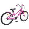 vidaXL Kinderfiets 20 Inch voor 6-11 jaar oud Donkerroze