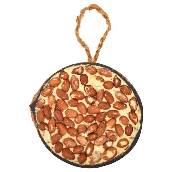 vidaXL Vogelvoer gevulde halve kokosnoten 10 st 290 g