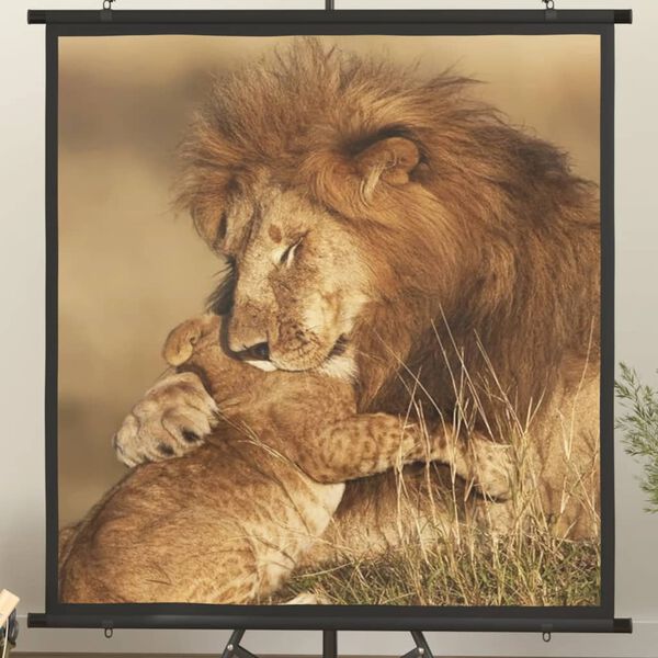 vidaXL Projectiescherm 1:1 67''