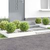 Miniatuurafbeelding van het product 2 van 9
