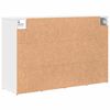 vidaXL Schoenenkast met plank Wit 103 x 30 x 67 cm Bewerkt hout