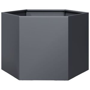 vidaXL Plantenbak zeshoek 69x60x45 cm staal antracietkleurig