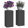 vidaXL Plantenstandaard 2 pcs Zwart 24 x 24 x 55 cm Staal
