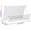 vidaXL Voetbalrebounder/voetbaldoel 2-in-1 202x104x120 cm staal