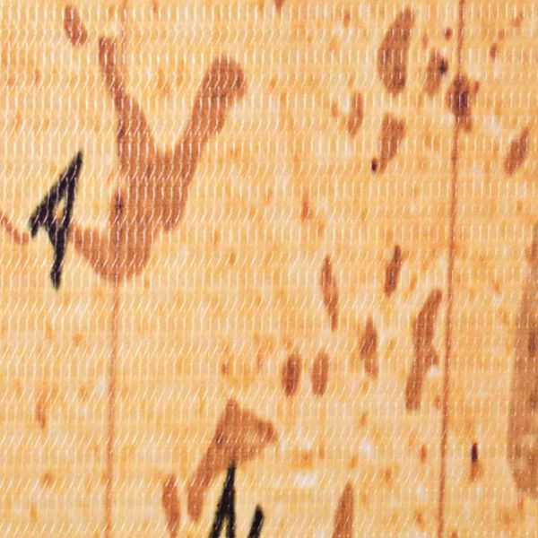 vidaXL Kamerscherm inklapbaar wereldkaart 120x170 cm geel