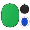 vidaXL Achtergrondscherm studio 2-in-1 ovaal 200x150 cm groen en blauw
