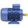 vidaXL Elektromotor 3 fase 2,2 kW/3 pk 2-polig 2840 rpm aluminium