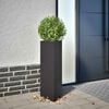 Miniatuurafbeelding van het product 2 van 11