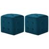 vidaXL Poef 2 st 30x30x30 cm fluweel blauw