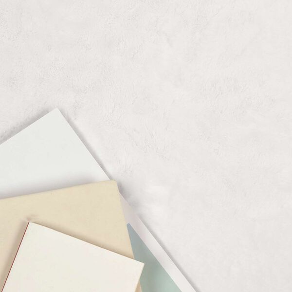 vidaXL Nep Konijnenbont Tapijt Olite Wit 100 x 200 cm Polyester