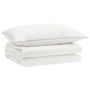 vidaXL 90% ganzen dons dekbedset FULDA 2 st 150 x 200 cm Zomer 100 GSM