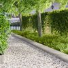 Miniatuurafbeelding van het product 2 van 9
