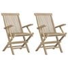vidaXL Opklapbare stoelen, 2 stuks, grijs, 56x61x89 cm, massief teakhout