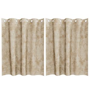 vidaXL Velvet Gordijnen met gordijnen 2 pcs Crème 140 x 140 cm Fluweel