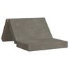 vidaXL Vouwbare Bankbed 100 x 67 x 45 cm Lichtgrijs
