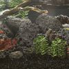 Miniatuurafbeelding van het product 2 van 5