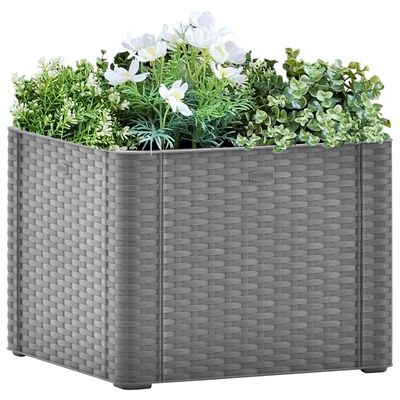 Inpakken Zus Druif vidaXL Plantenbak hoog met zelfbewateringssysteem 43x43x33 cm grijs online  kopen | vidaXL.be