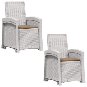 vidaXL Ligstoel in rietenlook 2 st Wit en Taupe PP