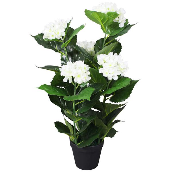 Productafbeelding 1 van 3