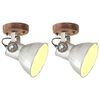 vidaXL Wand-/plafondlampen industrieel 2 st E27 20x25 cm zilverkleurig
