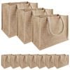 vidaXL Jute handtassen 10 Naturel 26 x 22 x 14 cm 100% Tossa Jute
