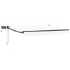 vidaXL Handbediende luifel met LED's 3,5 x 2,5 m