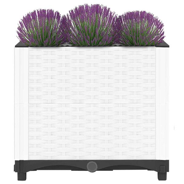 Productafbeelding 3 van 8