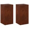 vidaXL Plantenstandaard 2 pcs Roestkleurig 30 x 30 x 60 cm