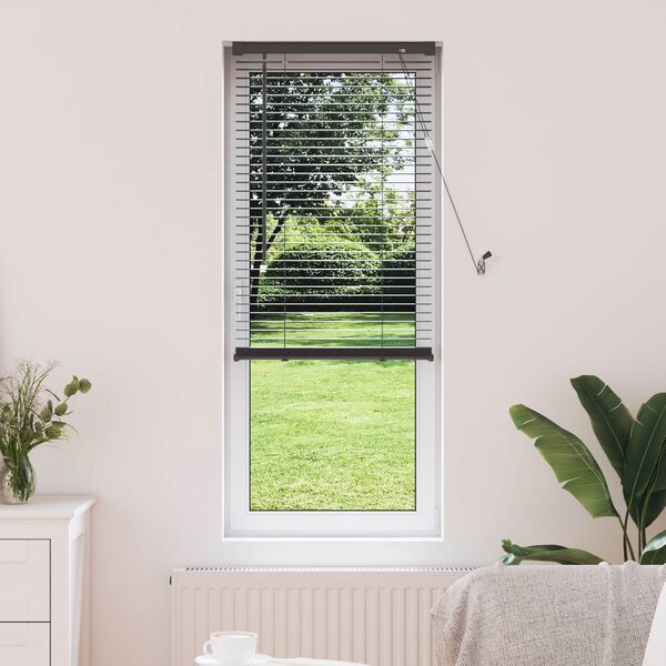 vidaXL Venetiaanse Blind Verstelbaar Zilvergrijs 150 x 40 cm PVC