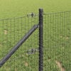 Miniatuurafbeelding van het product 4 van 16