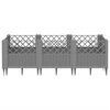 Miniatuurafbeelding van het product 3 van 8