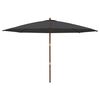 vidaXL Parasol met houten paal 400x273 cm zwart