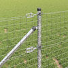 Miniatuurafbeelding van het product 4 van 11